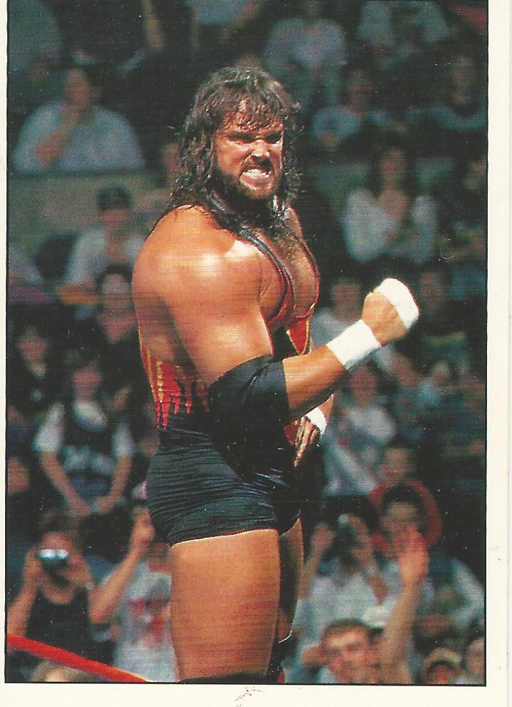 WWF Panini 1995 Sticker Collection Adam Bomb #137