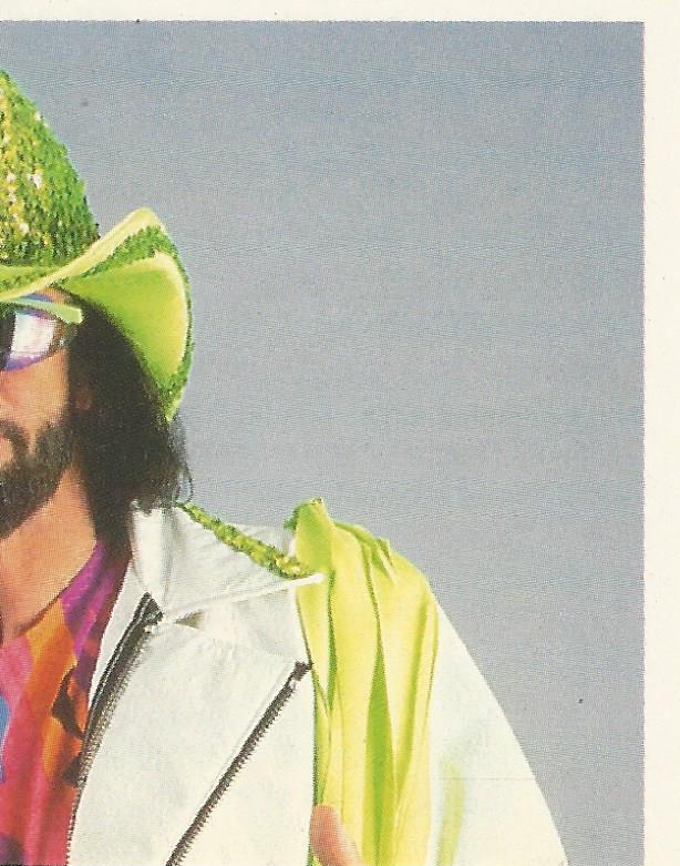 WWF Merlin Stickers 1992 Macho Man Randy Savage #138
