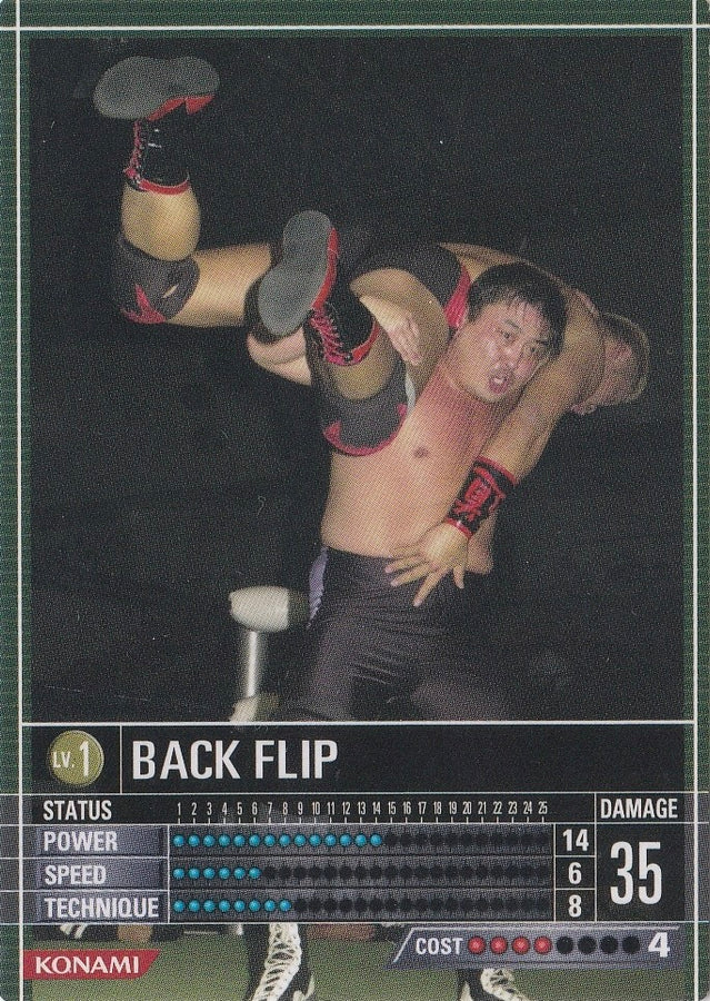 Back Flip