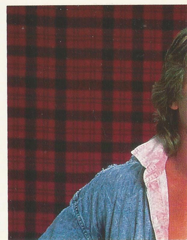 WWF Merlin Stickers 1991 Rowdy Roddy Piper #139