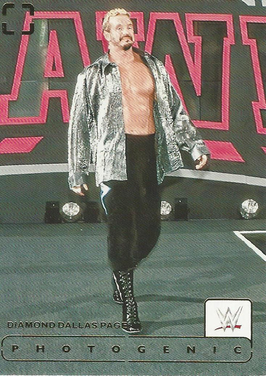 WWE Panini Photogenic 2024 DDP #139