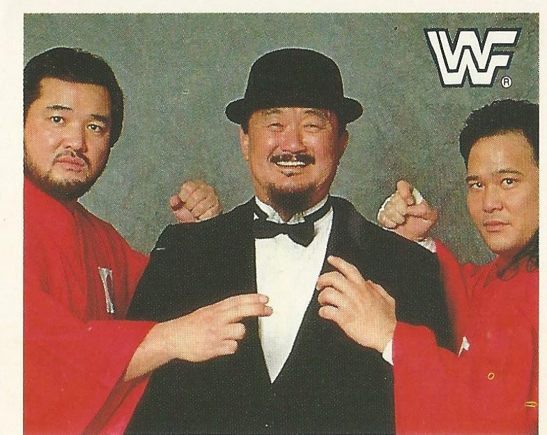 WWF Merlin Sticker Collection 1990 Orient Express #139