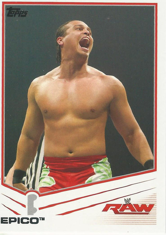 WWE Topps 2013 Epico #13