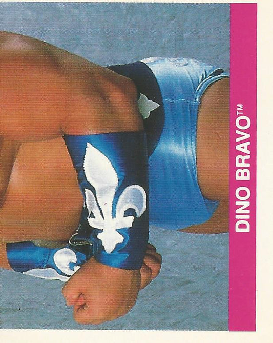 WWF Merlin Sticker Collection 1990 Dino Bravo #13