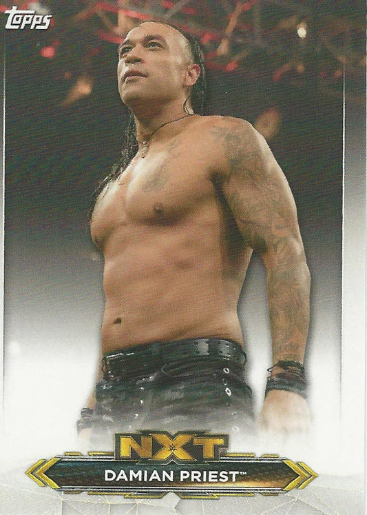 WWE Topps NXT 2020 Damian Priest #13