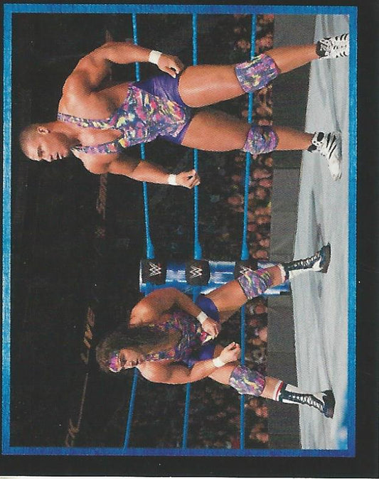 WWE Topps Stickers 2017 Chad Gable and Jason Jordan #13