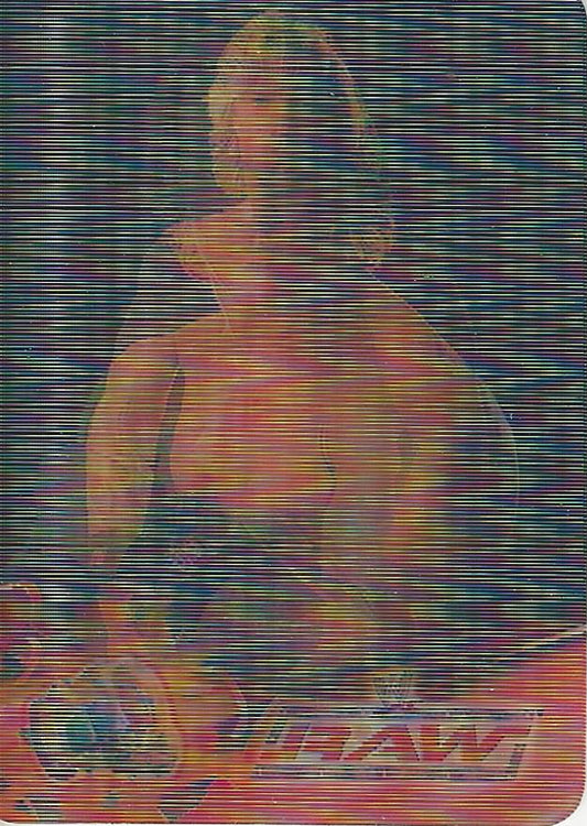 WWE Prominter Animotion 2005 Chris Jericho #13