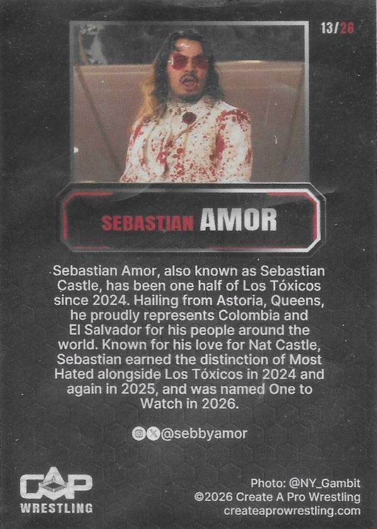 Sebastian Amor trading card PWcatalog