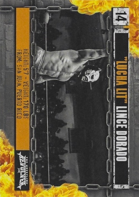 “Lucha LIT” Lince Dorado trading card PW Catalog