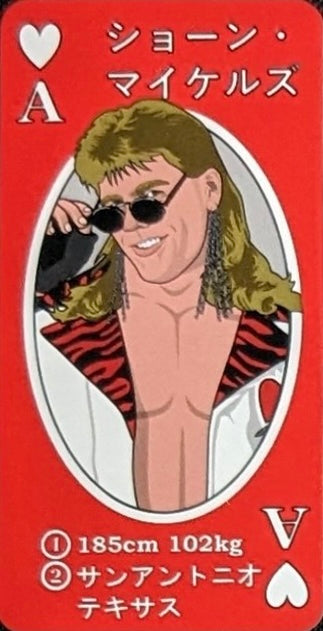 Shawn Michaels trading card PW Catalog