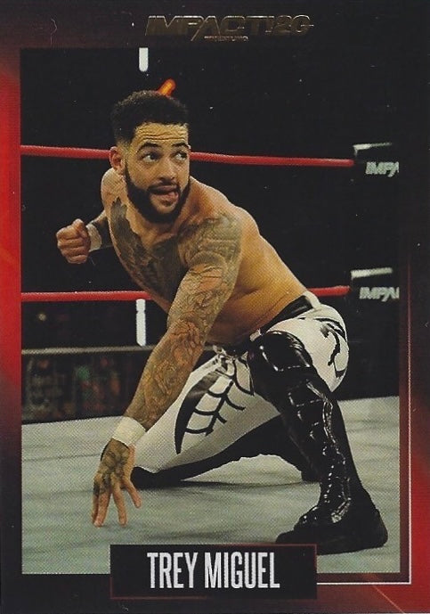 Trey Miguel