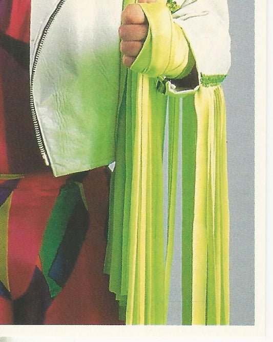 WWF Merlin Stickers 1992 Macho Man Randy Savage #140