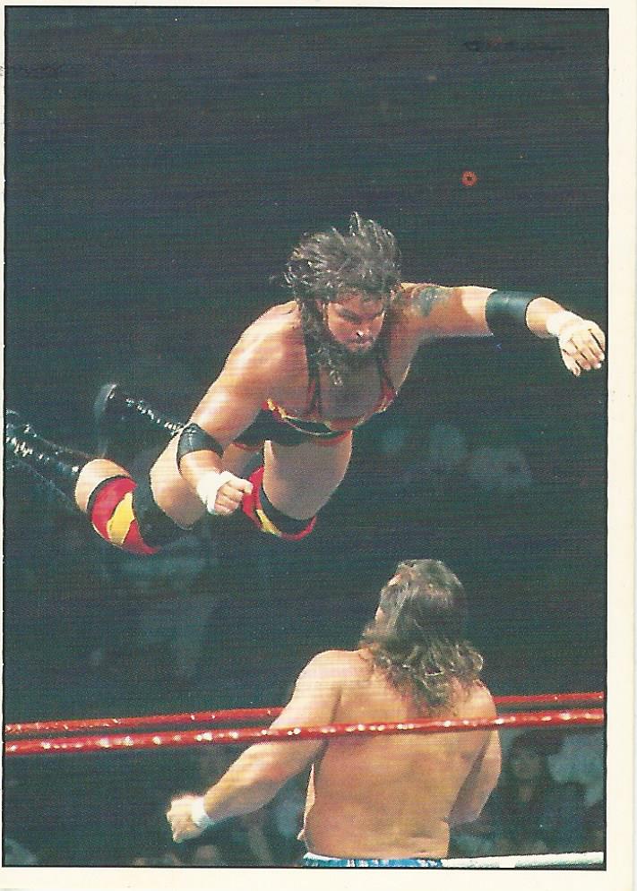 WWF Panini 1995 Sticker Collection Adam Bomb #140