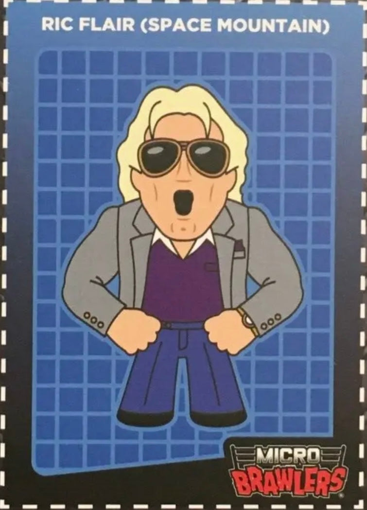 RIC Flair (Space Mountain)