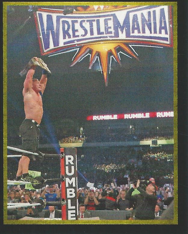 WWE Topps Stickers 2017 John Cena #198