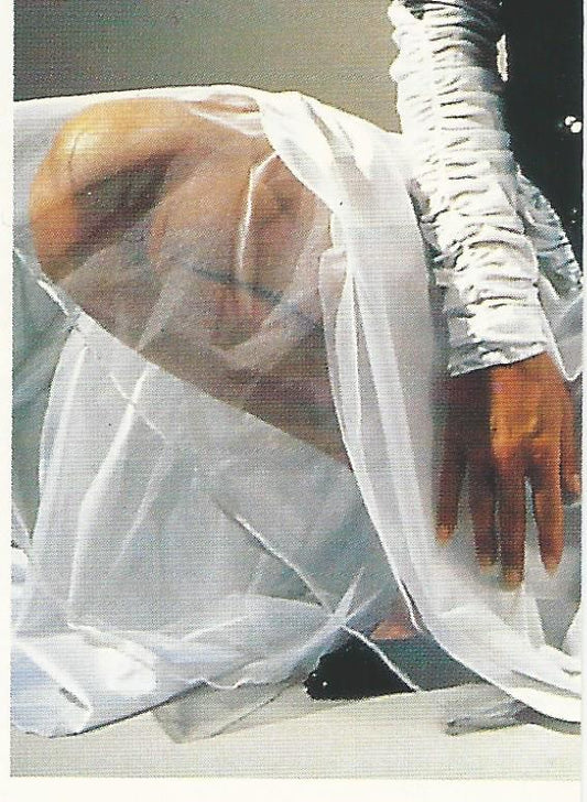 WCW Euroflash 1992 Sticker Missy Hyatt #141