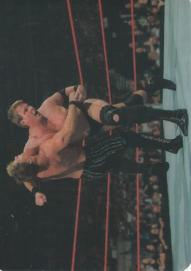 WWE Edibas Lamincards 2008 JBL #141
