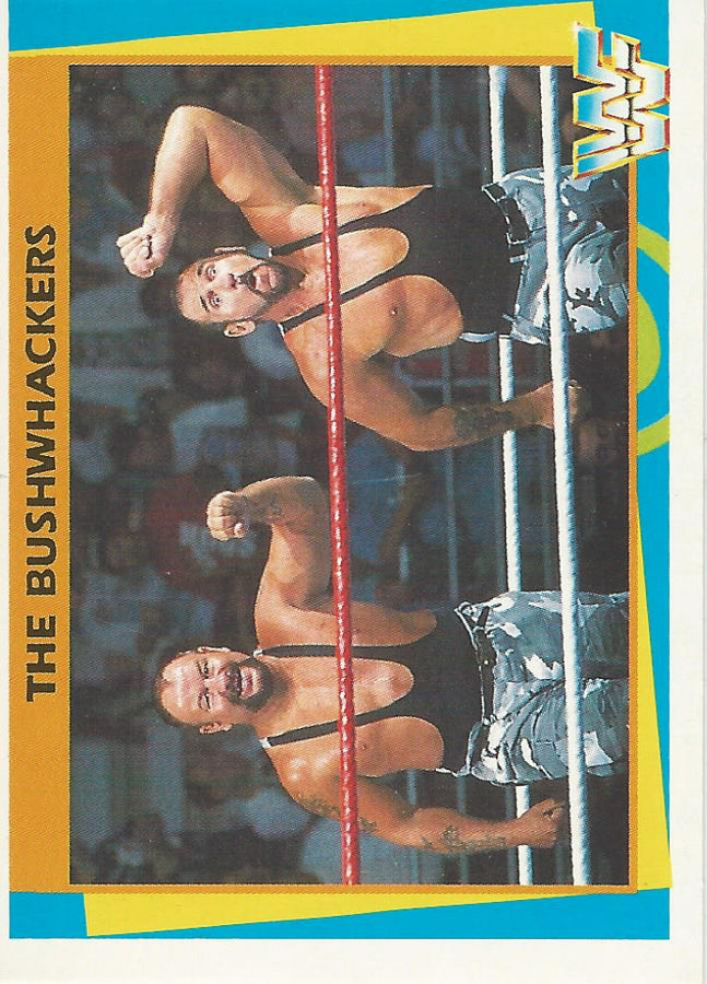 WWF Merlin 1995 Bushwhackers #141