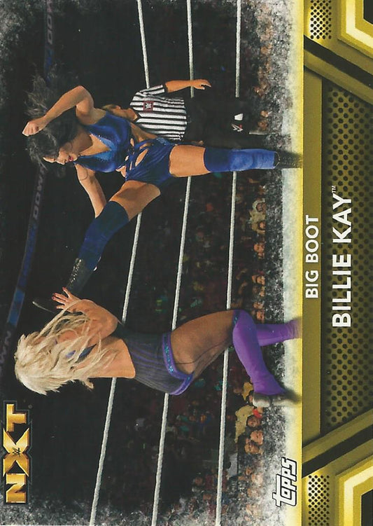WWE Topps Then Now Forever 2017 Billie Kay #F42