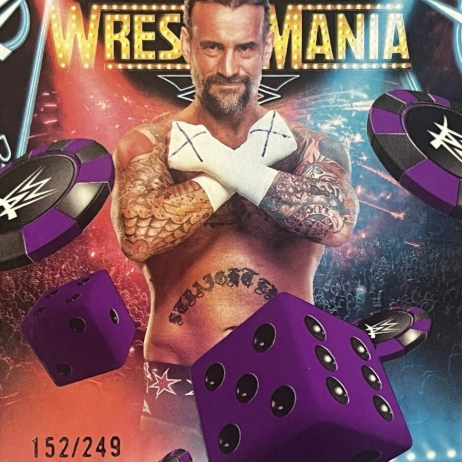CM Punk trading card PW Catalog