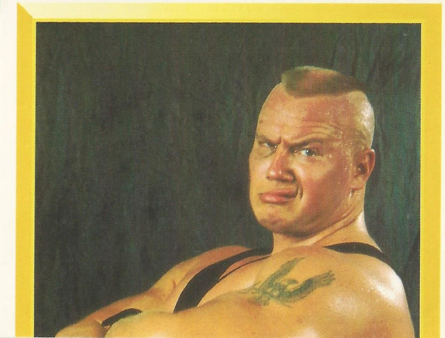 WWF Merlin Sticker 1994 Ludvig Borga #143