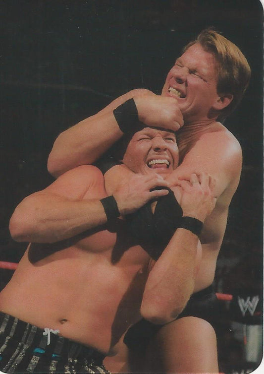 WWE Edibas Lamincards 2008 JBL #140