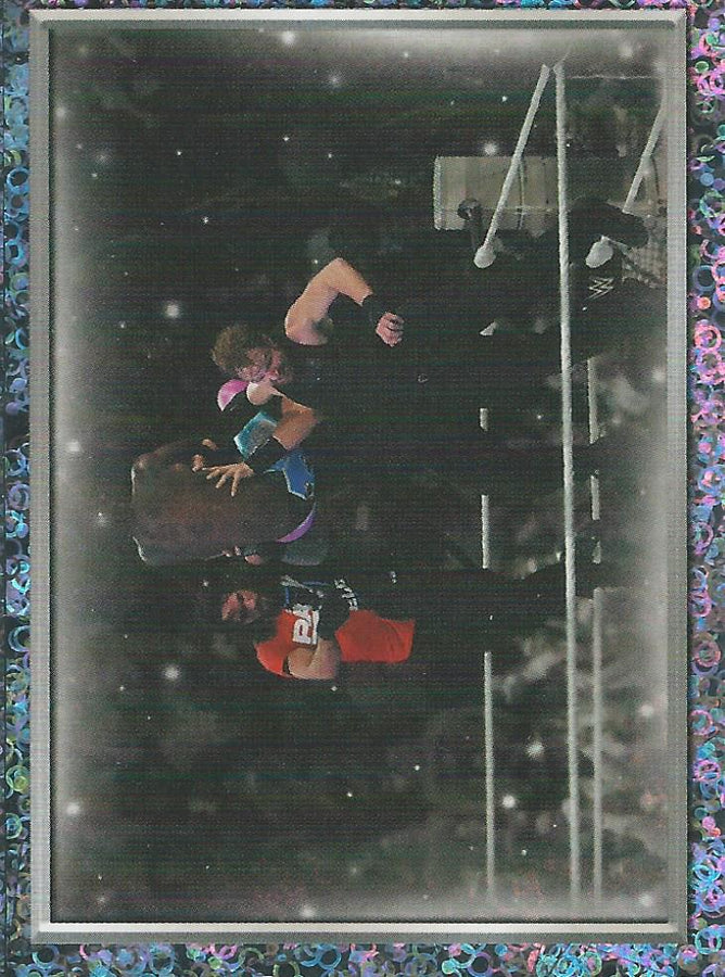 WWE Topps 2018 Stickers The Shield Foil #143