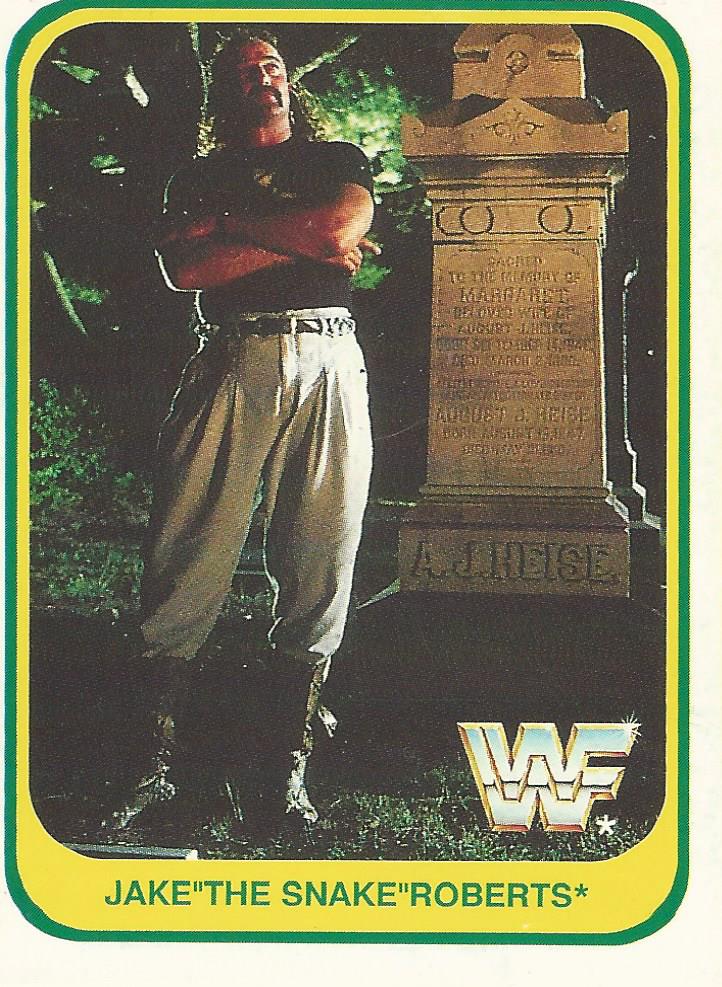 WWF Merlin 1991 Jake the Snake Roberts #143