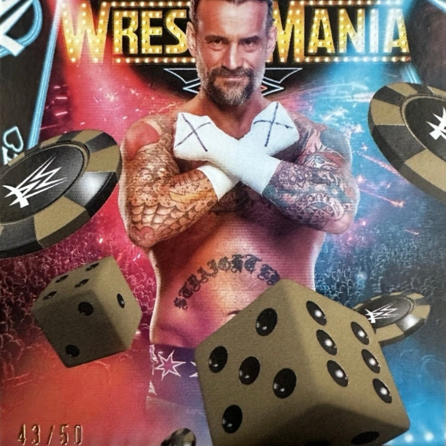 CM Punk trading card PW Catalog