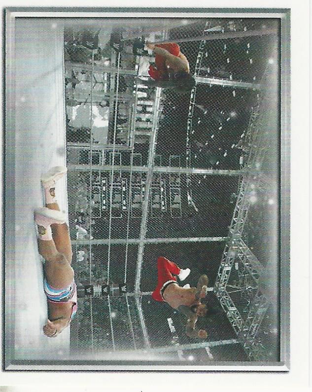 WWE Topps 2018 Stickers The Usos #144
