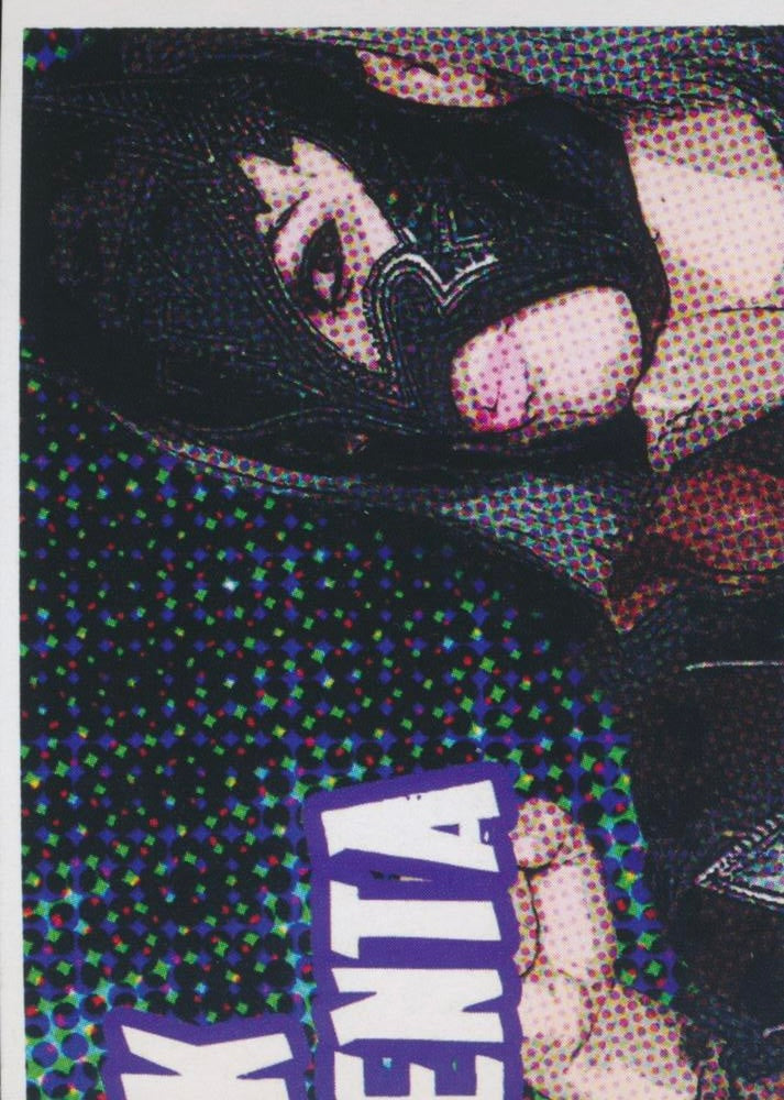 Chik Tormenta / Starfire / Tessa Blanchard trading card PW Catalog