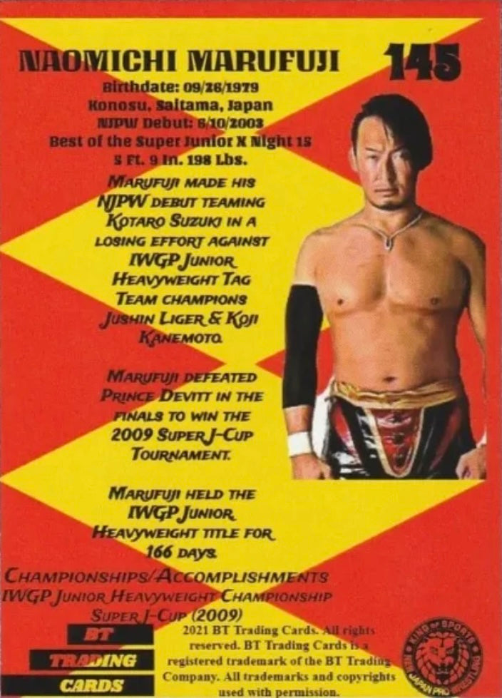 Naomichi Marufuji