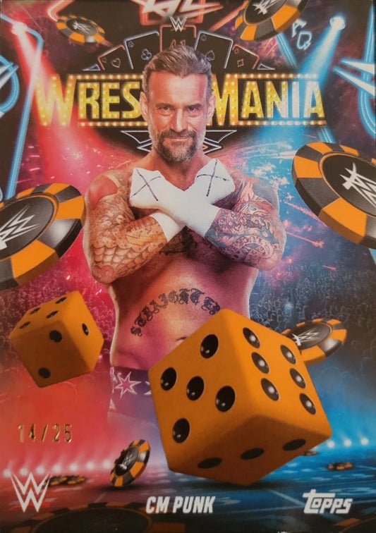 CM Punk