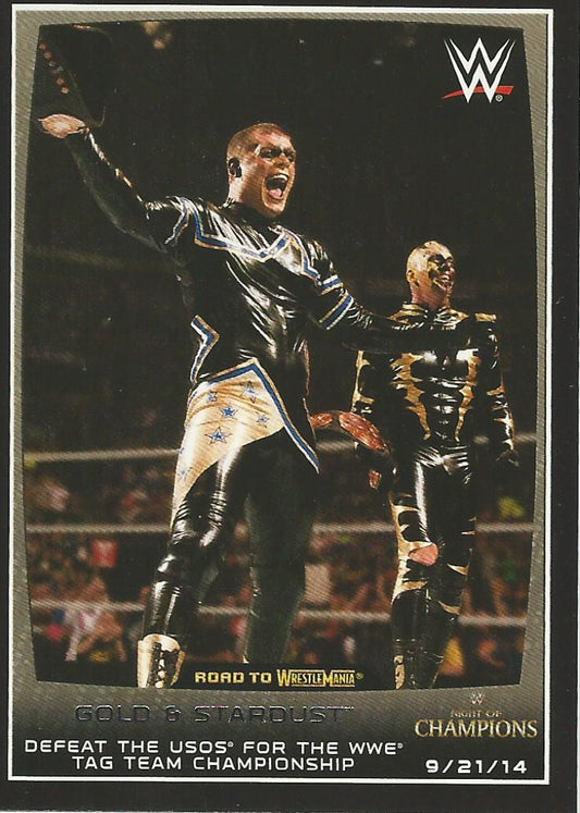 WWE Topps Road to Wrestlemania 2015 Stardust and Goldust #45