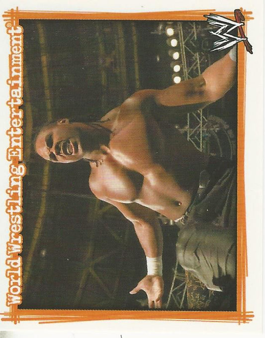 WWE Topps Superstars Uncovered 2007 Sticker JTG #145