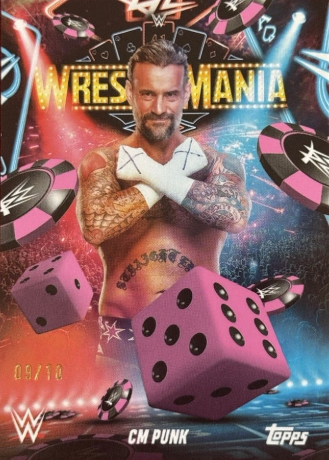 CM Punk trading card PW Catalog
