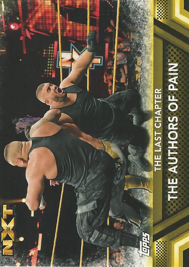 WWE Topps Then Now Forever 2017 Authors of Pain #F46