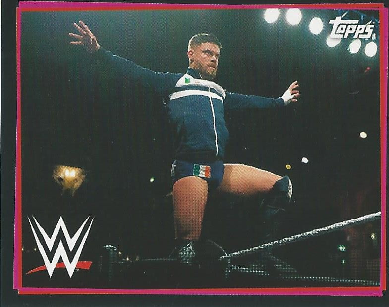 WWE Topps Road to WrestleMania Stickers 2021 Jordan Devlin #146