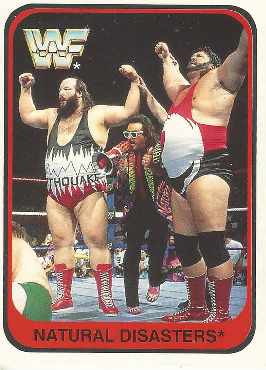 WWF Merlin 1991 Natural Disasters #146