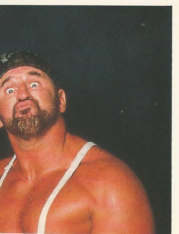WWF Merlin Sticker Collection 1990 Bushwhackers #146
