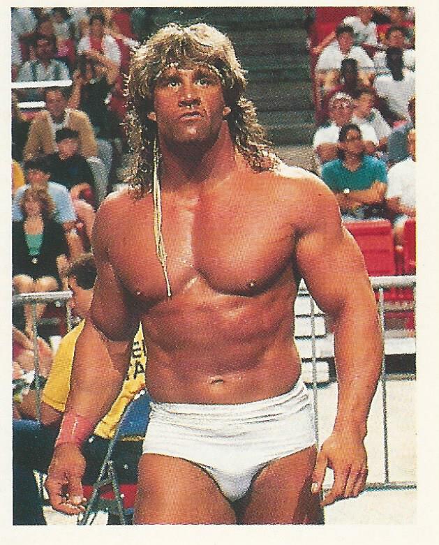 WWF Merlin Stickers 1991 Texas Tornado #147