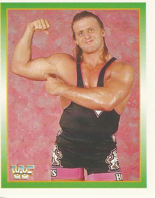 WWF Merlin Stickers 1995 Owen Hart #147