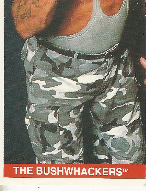 WWF Merlin Sticker Collection 1990 Bushwhackers #147