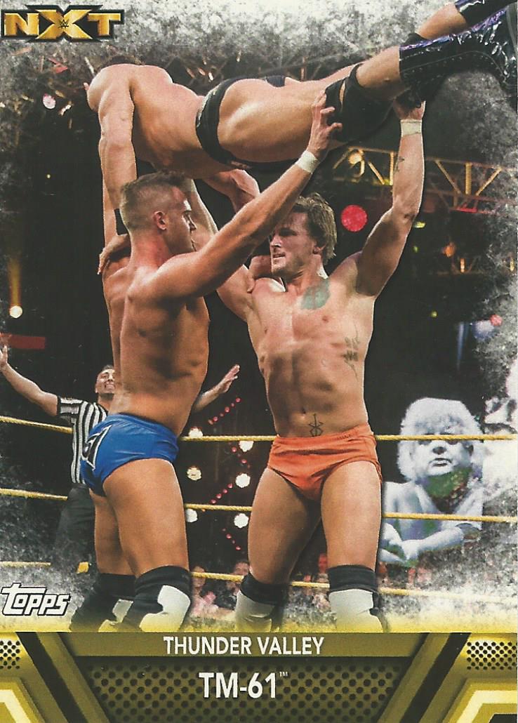WWE Topps Then Now Forever 2017 TM-61 #F48