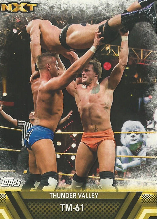 WWE Topps Then Now Forever 2017 TM-61 #F48