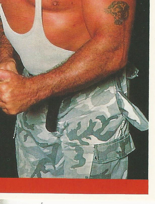 WWF Merlin Sticker Collection 1990 Bushwhackers #148