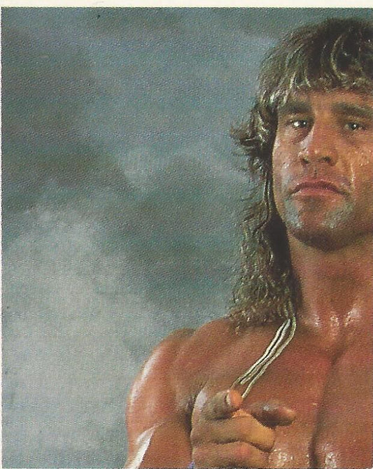 WWF Merlin Stickers 1991 Texas Tornado #148