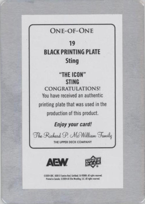 8/27/23 – Sting and Darby Allin Walked Out of All in London With a Win in Their Coffin Match - image 2