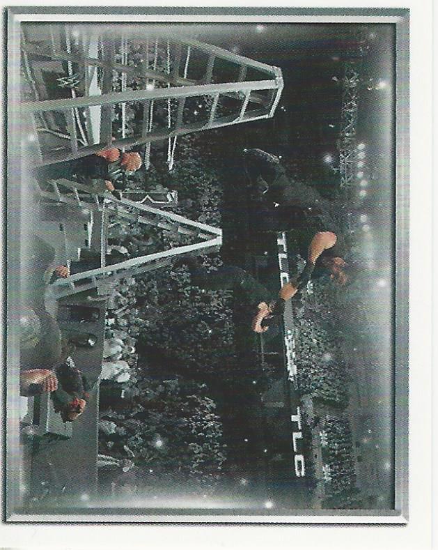 WWE Topps 2018 Stickers The Shield #149