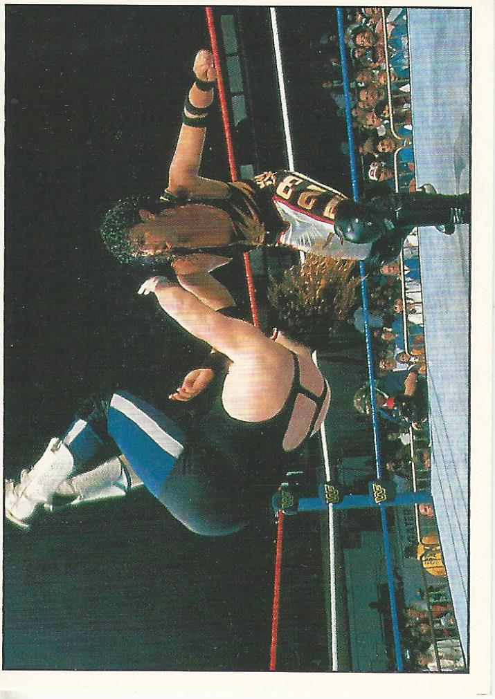 WWF Panini 1995 Sticker Collection 123 Kid #149
